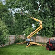 Best Utility Line Clearance  in Council Grove, KS